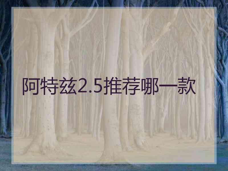 阿特兹2.5推荐哪一款