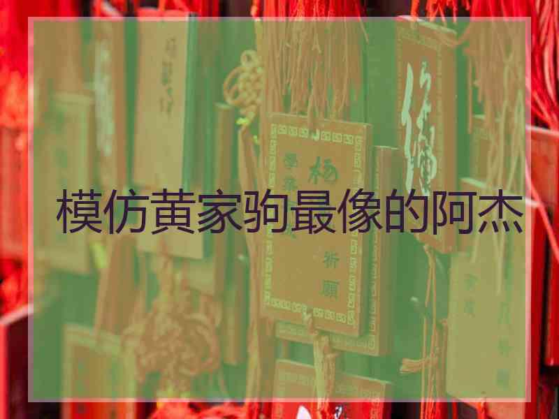 模仿黄家驹最像的阿杰