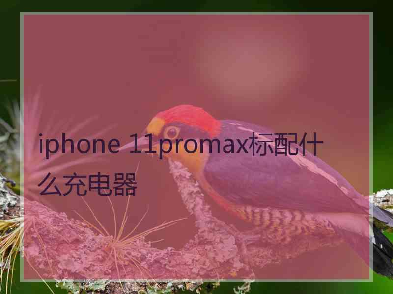 iphone 11promax标配什么充电器