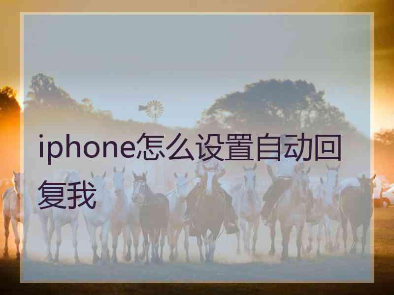 iphone怎么设置自动回复我