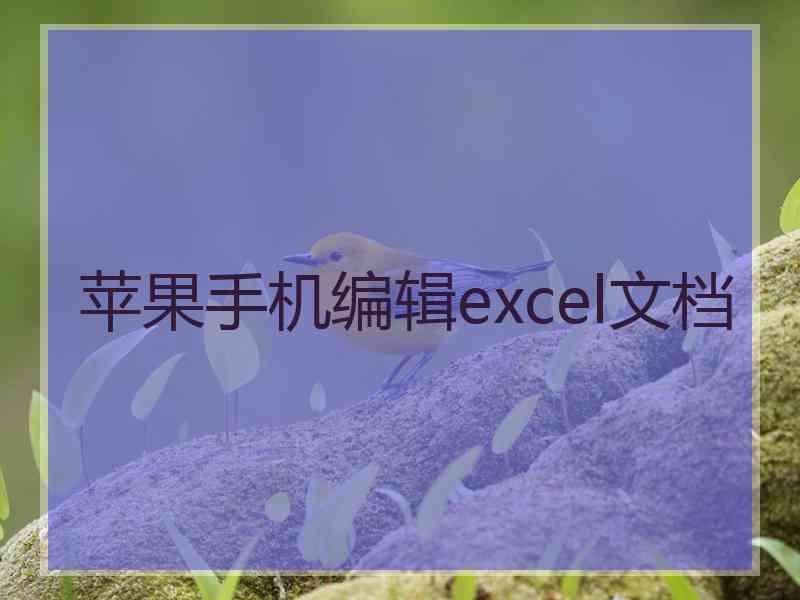 苹果手机编辑excel文档