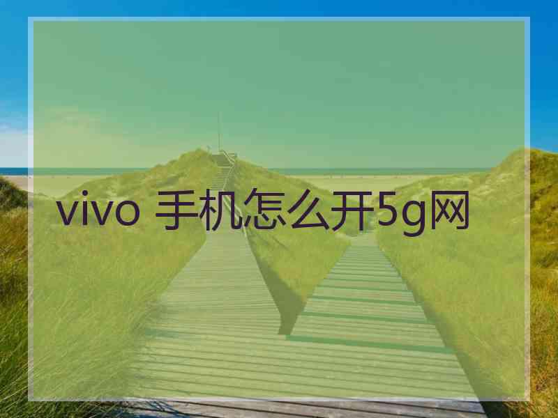 vivo 手机怎么开5g网