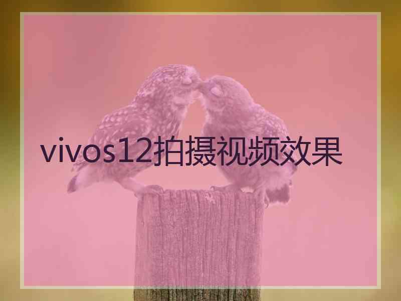 vivos12拍摄视频效果