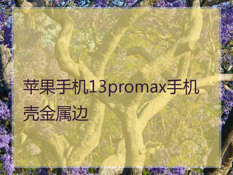 苹果手机13promax手机壳金属边