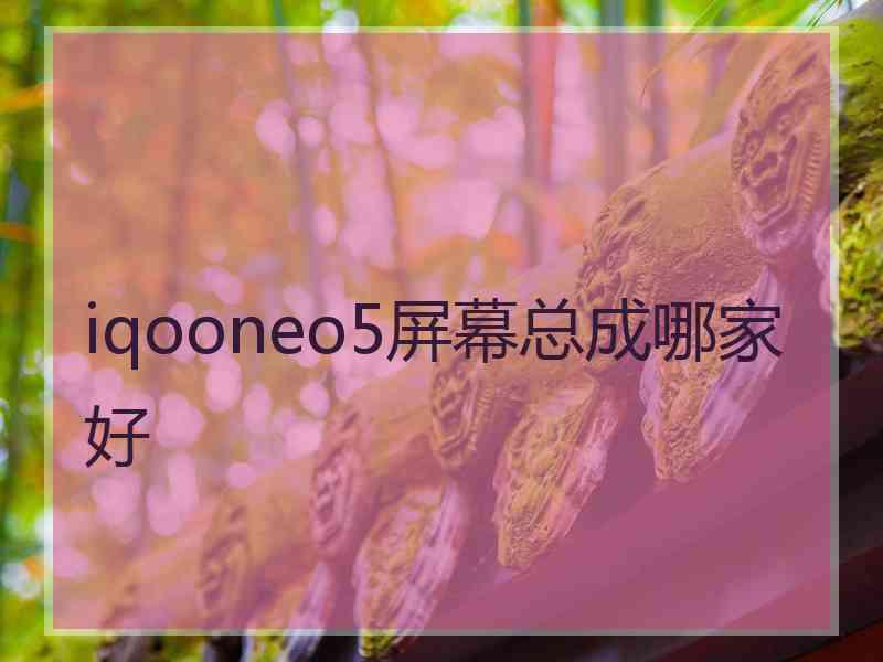 iqooneo5屏幕总成哪家好