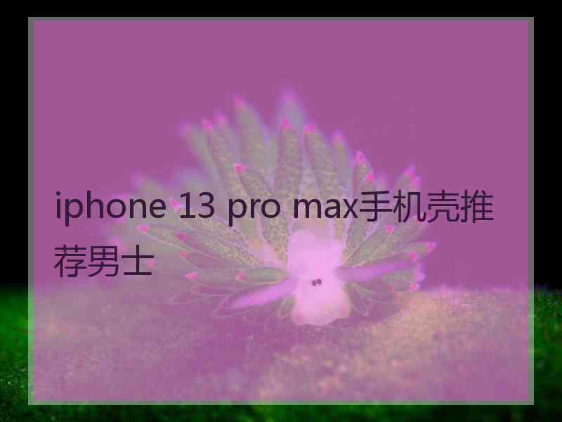 iphone 13 pro max手机壳推荐男士