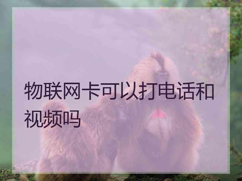 物联网卡可以打电话和视频吗