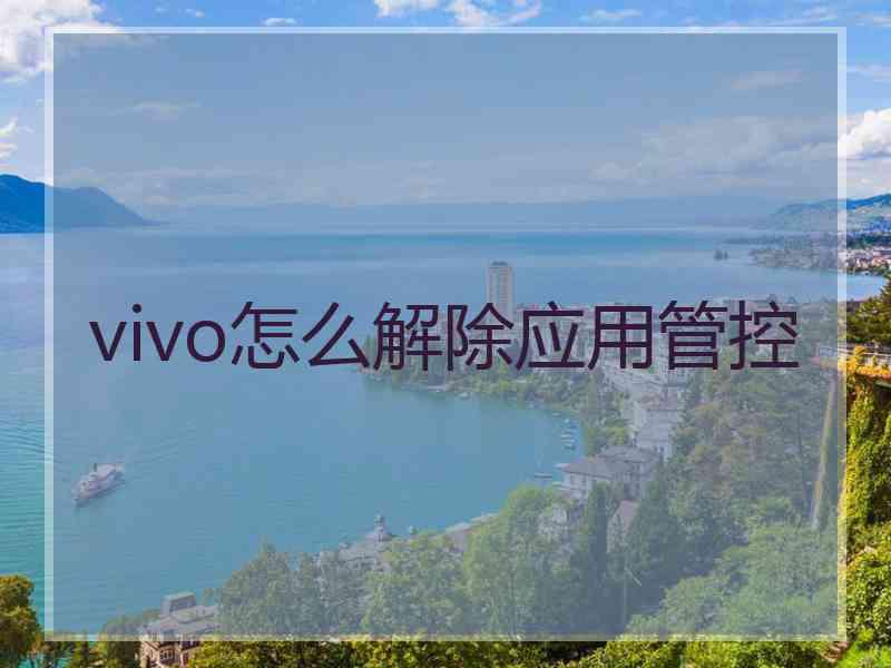 vivo怎么解除应用管控