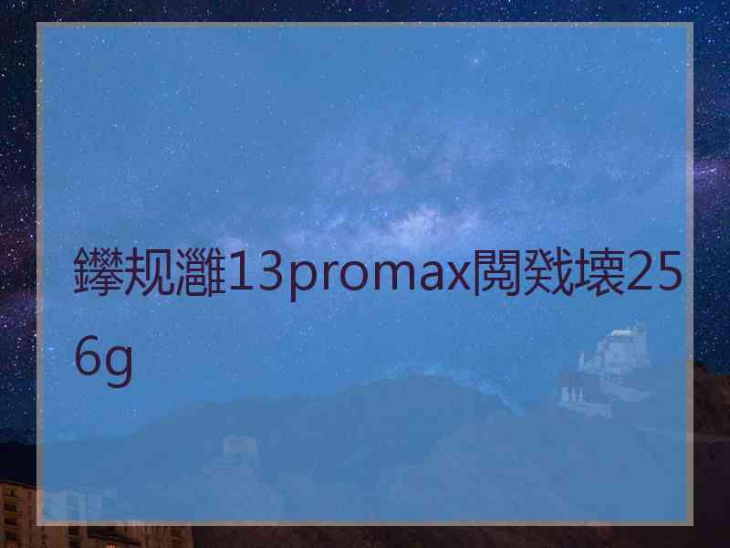 鑻规灉13promax閲戣壊256g