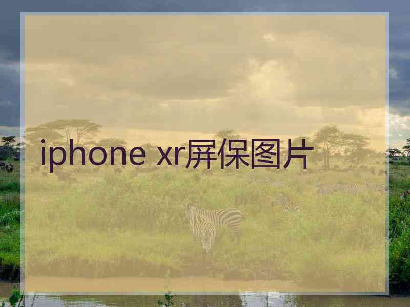 iphone xr屏保图片