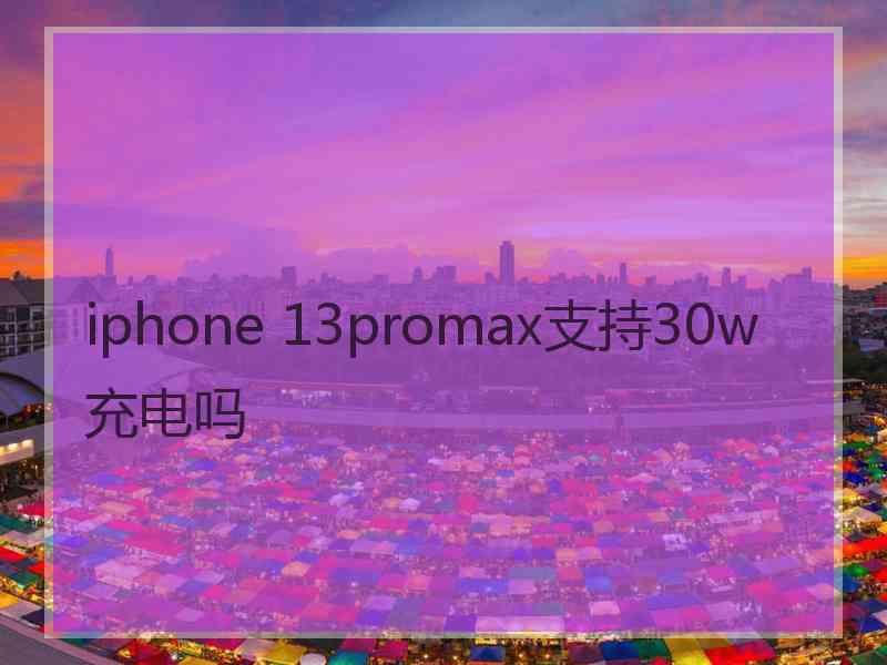 iphone 13promax支持30w充电吗