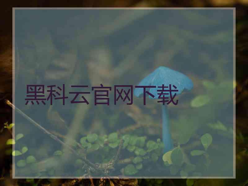 黑科云官网下载