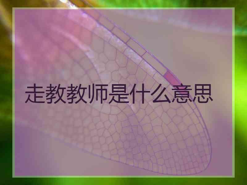 走教教师是什么意思