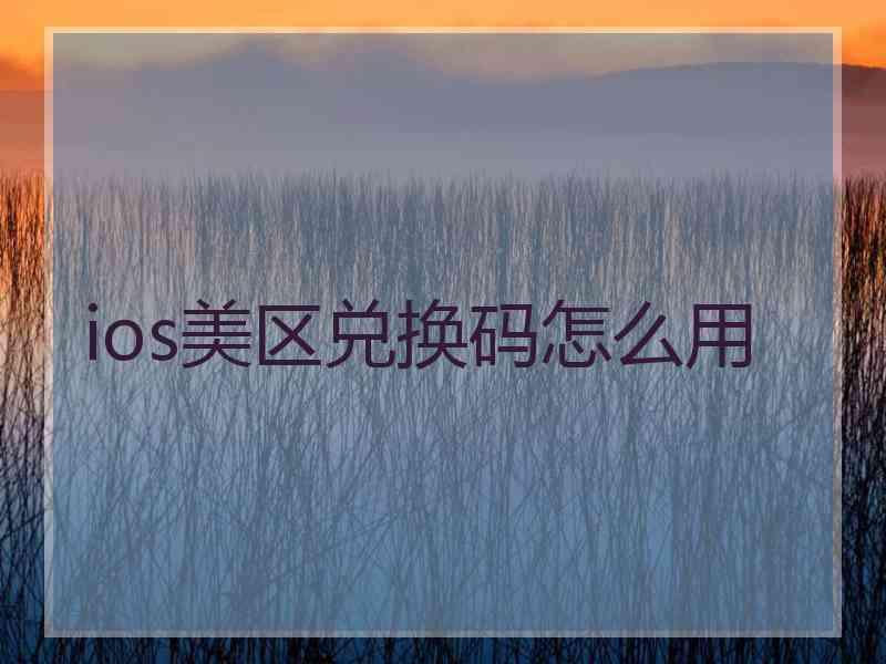 ios美区兑换码怎么用