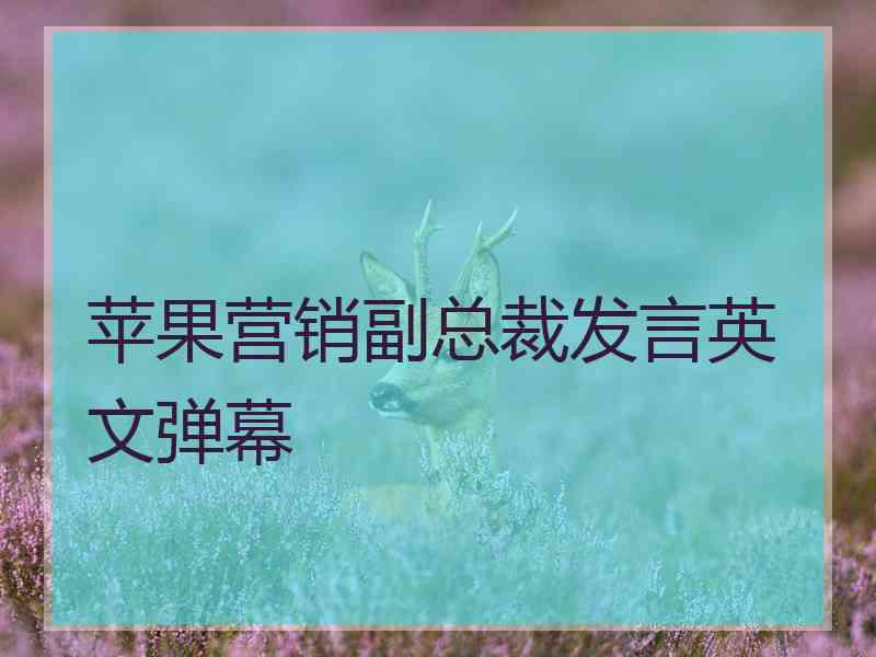 苹果营销副总裁发言英文弹幕