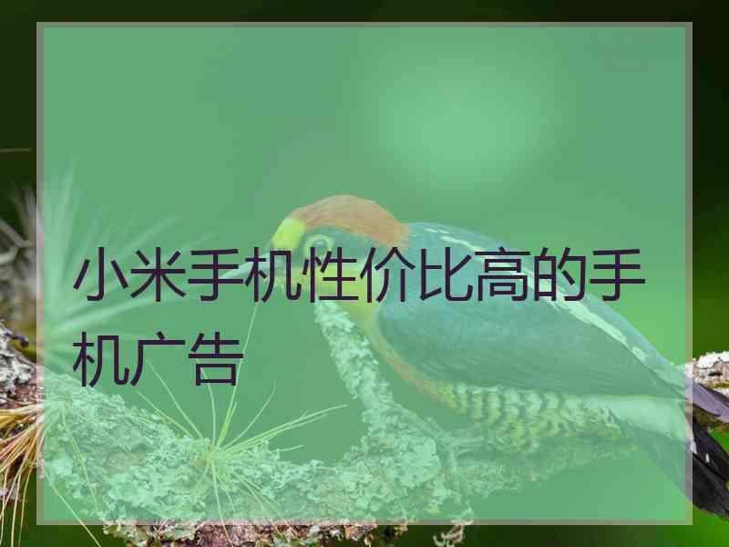 小米手机性价比高的手机广告