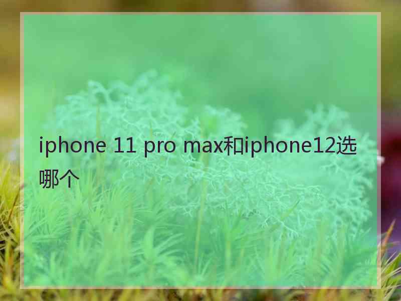 iphone 11 pro max和iphone12选哪个