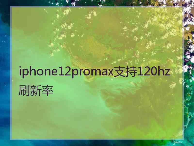 iphone12promax支持120hz刷新率