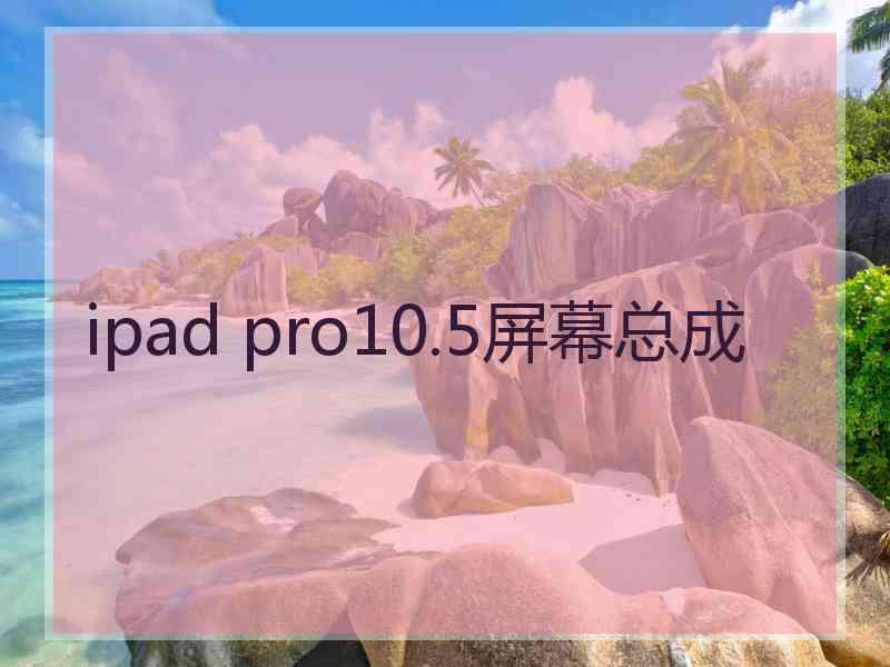 ipad pro10.5屏幕总成