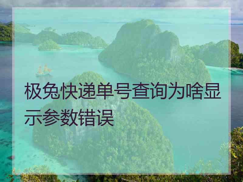 极兔快递单号查询为啥显示参数错误