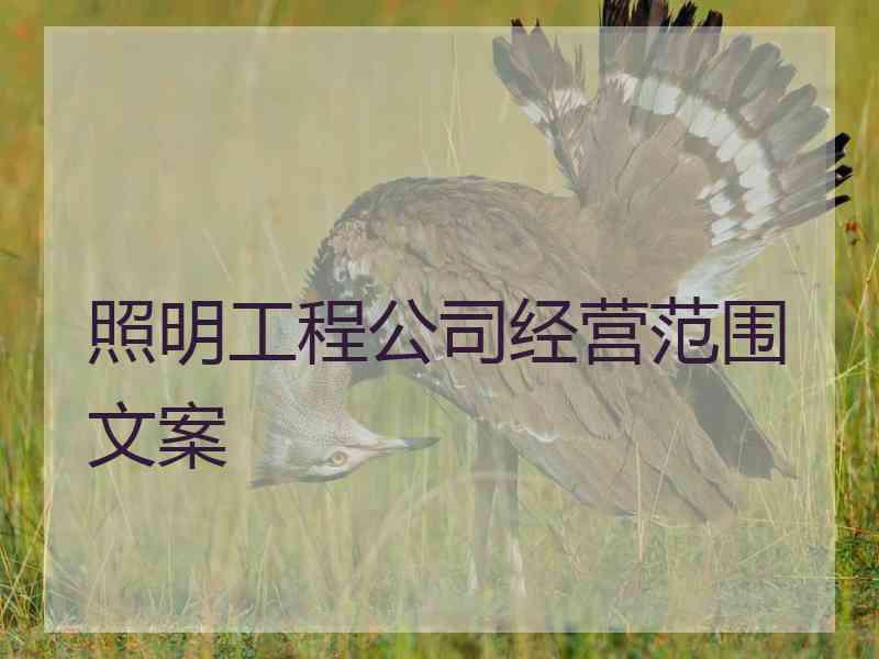 照明工程公司经营范围文案