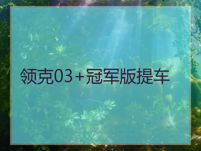 领克03+冠军版提车