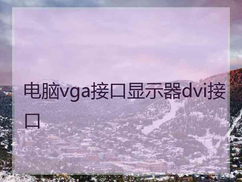 电脑vga接口显示器dvi接口