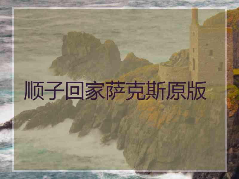 顺子回家萨克斯原版