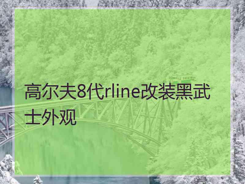 高尔夫8代rline改装黑武士外观