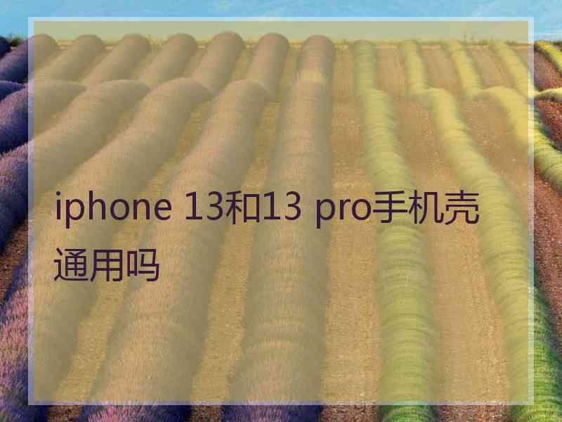 iphone 13和13 pro手机壳通用吗