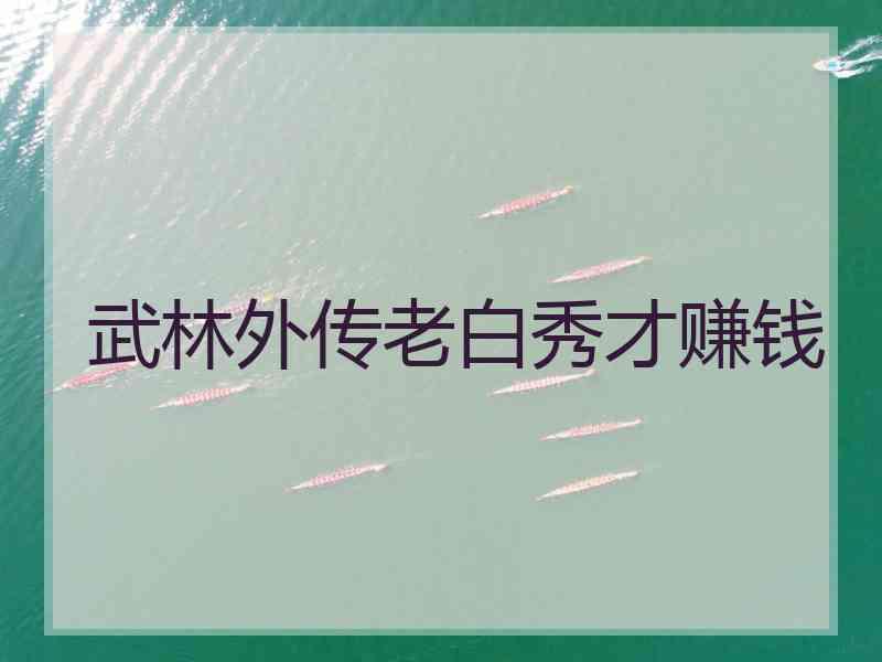 武林外传老白秀才赚钱