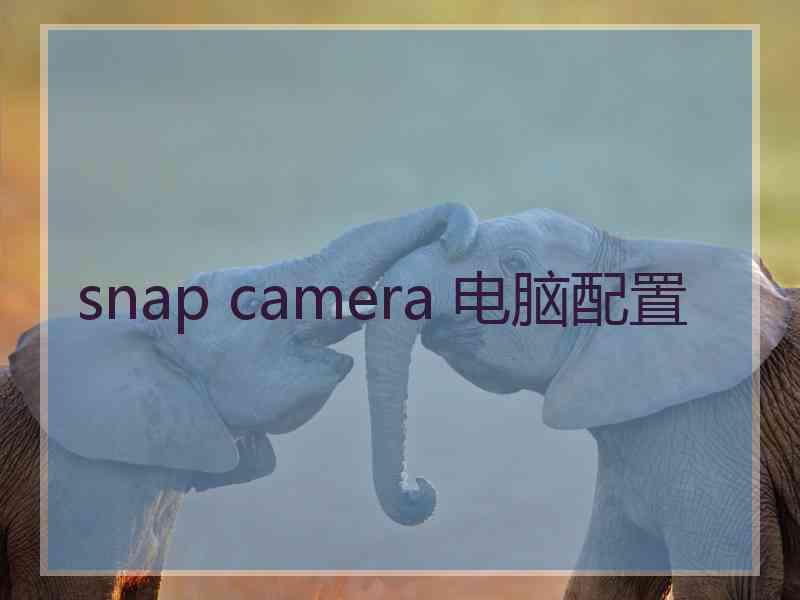 snap camera 电脑配置