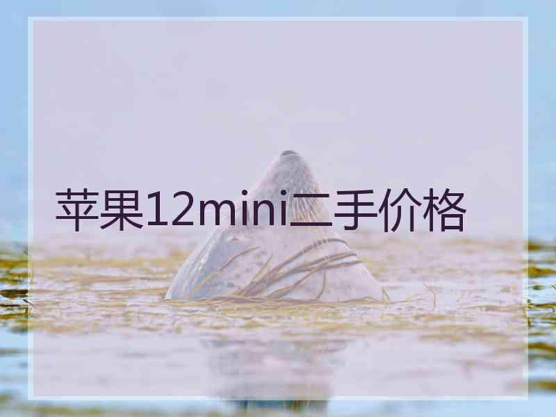 苹果12mini二手价格