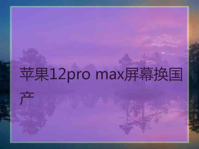 苹果12pro max屏幕换国产