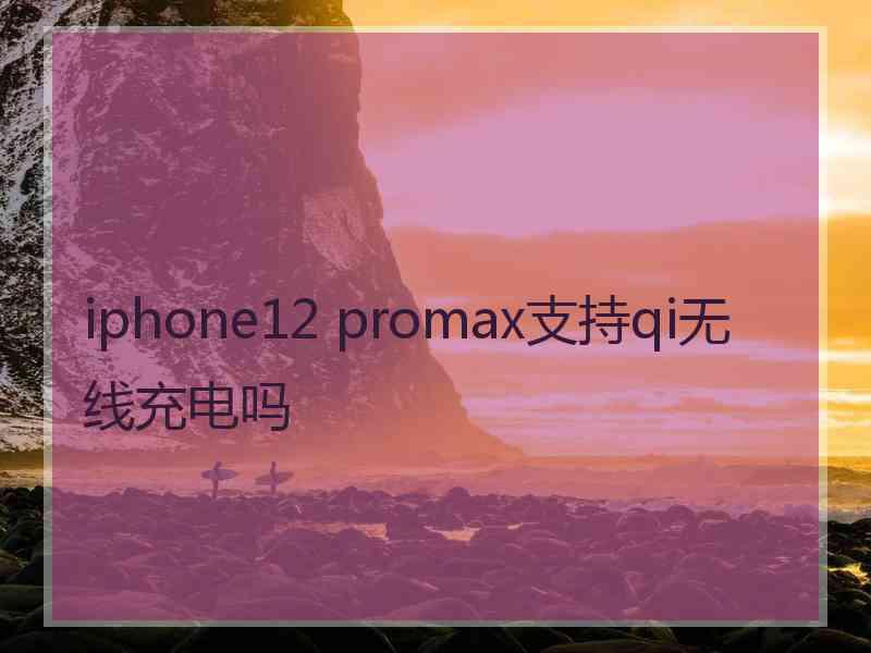 iphone12 promax支持qi无线充电吗