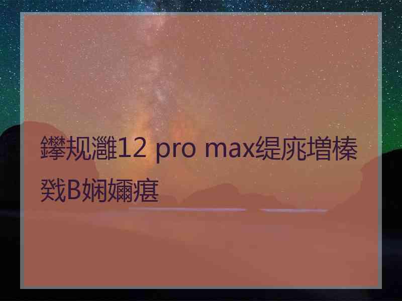 鑻规灉12 pro max缇庣増榛戣В娴嬭瘎