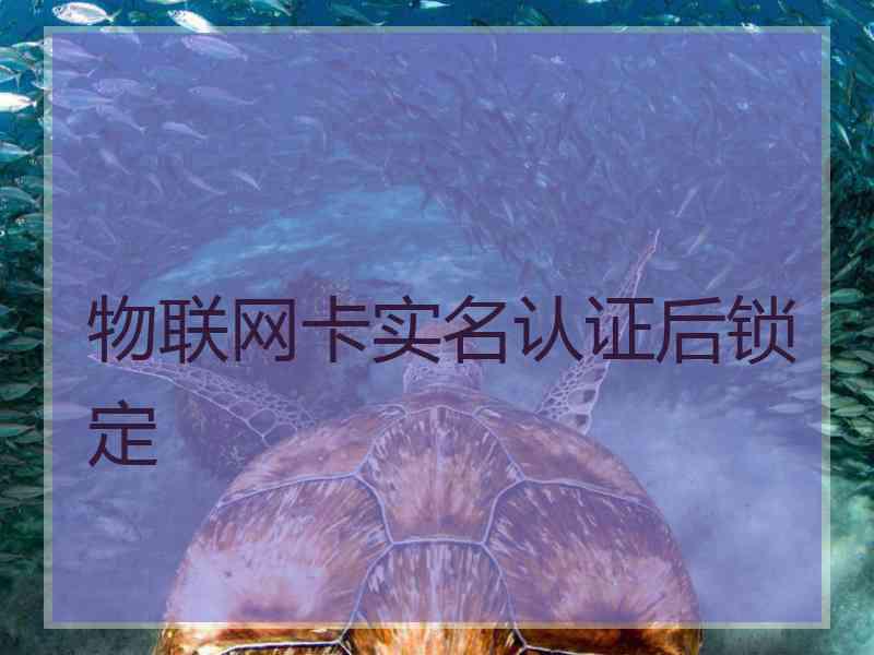 物联网卡实名认证后锁定