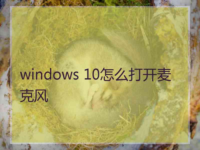 windows 10怎么打开麦克风