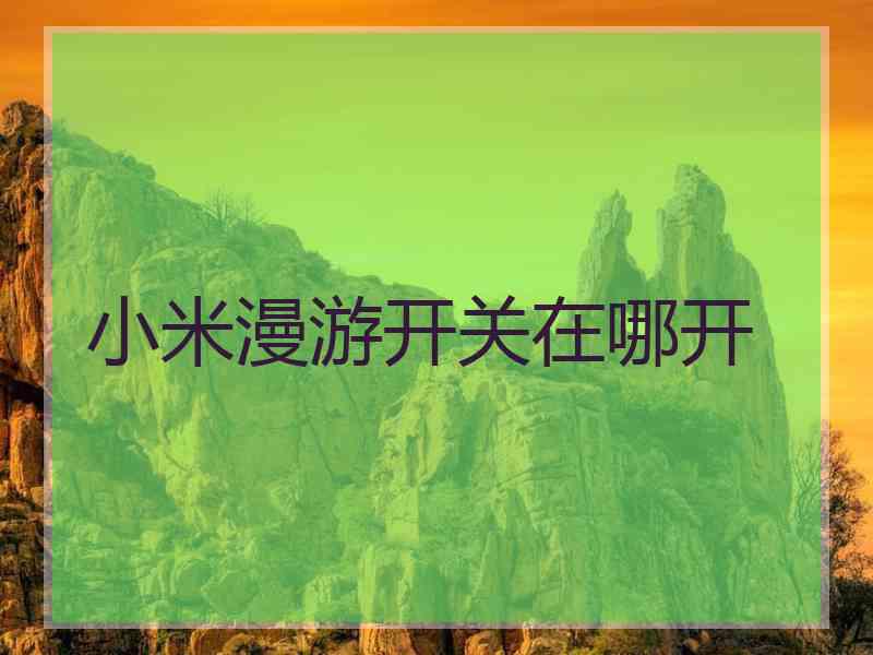 小米漫游开关在哪开