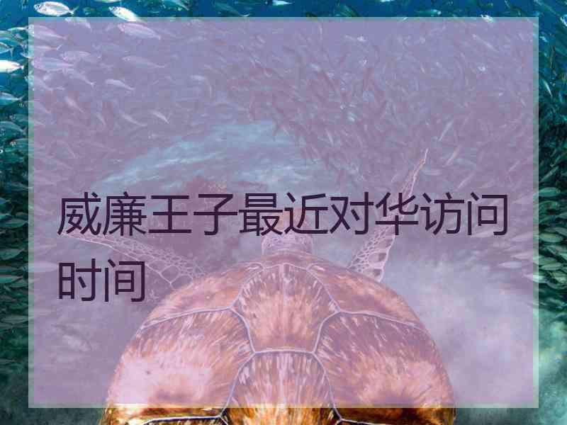 威廉王子最近对华访问时间