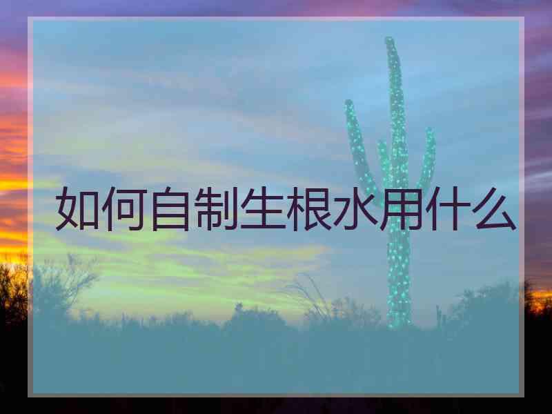 如何自制生根水用什么