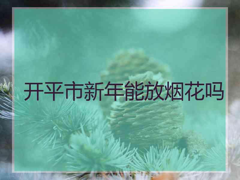 开平市新年能放烟花吗