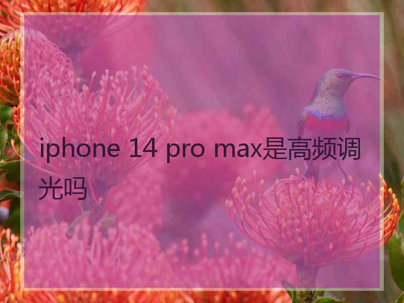 iphone 14 pro max是高频调光吗