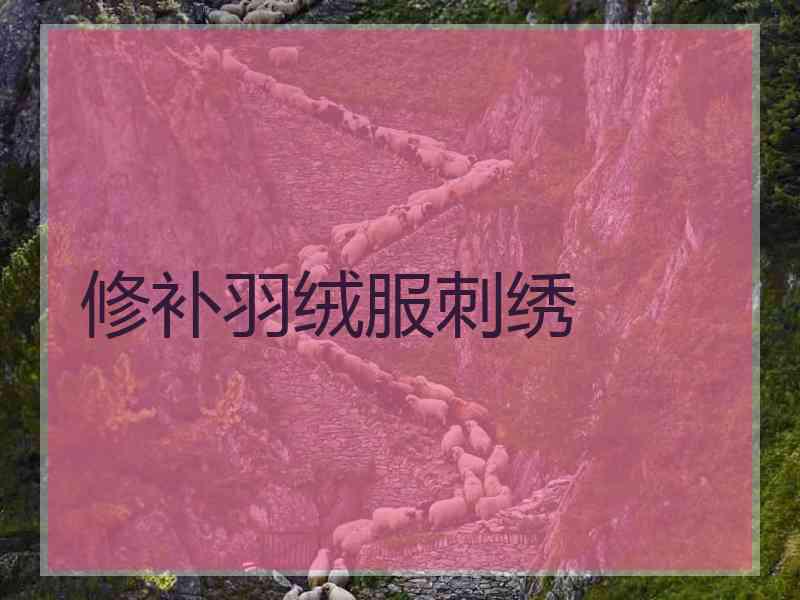 修补羽绒服刺绣