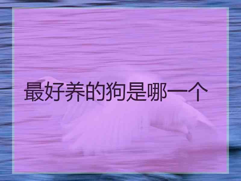 最好养的狗是哪一个