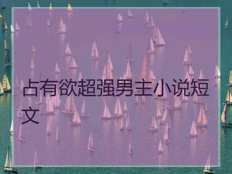 占有欲超强男主小说短文