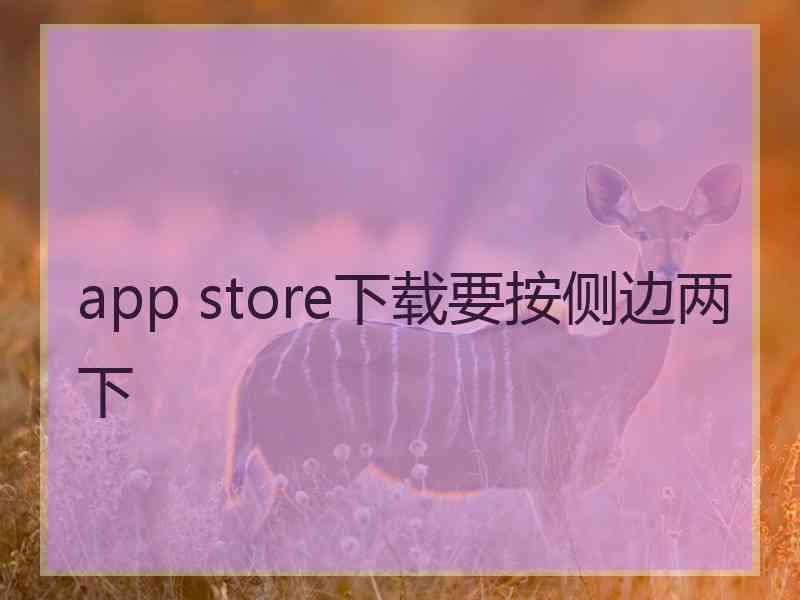 app store下载要按侧边两下