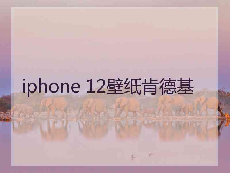 iphone 12壁纸肯德基