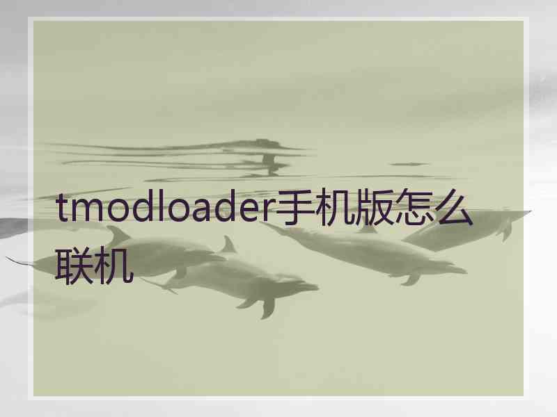 tmodloader手机版怎么联机