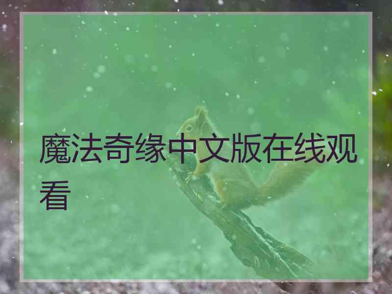 魔法奇缘中文版在线观看